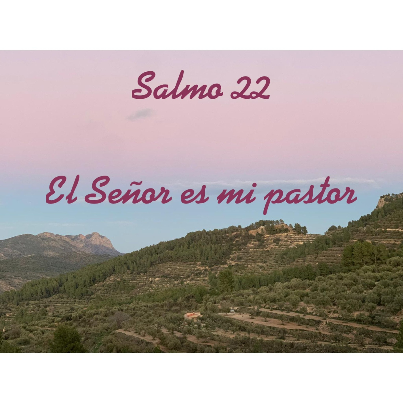 SALMO 22 parte 2 episode artwork