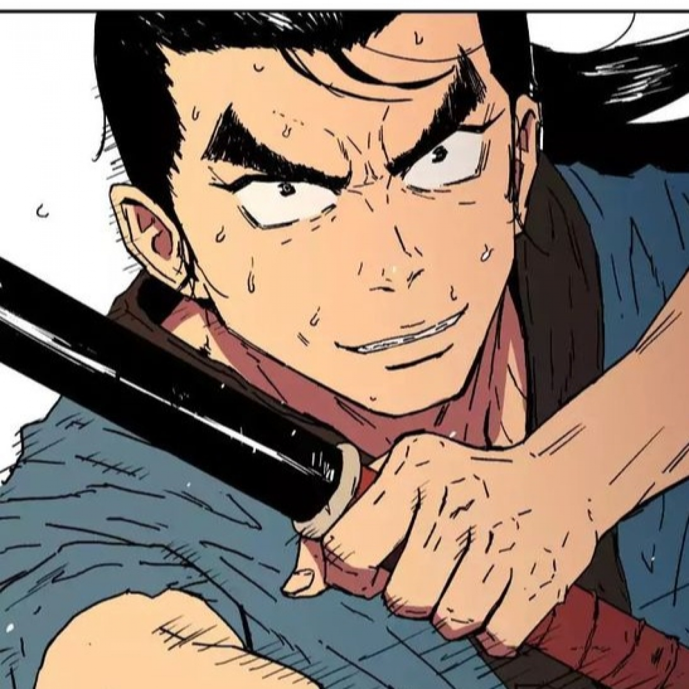 Mangas de Artes Marciales