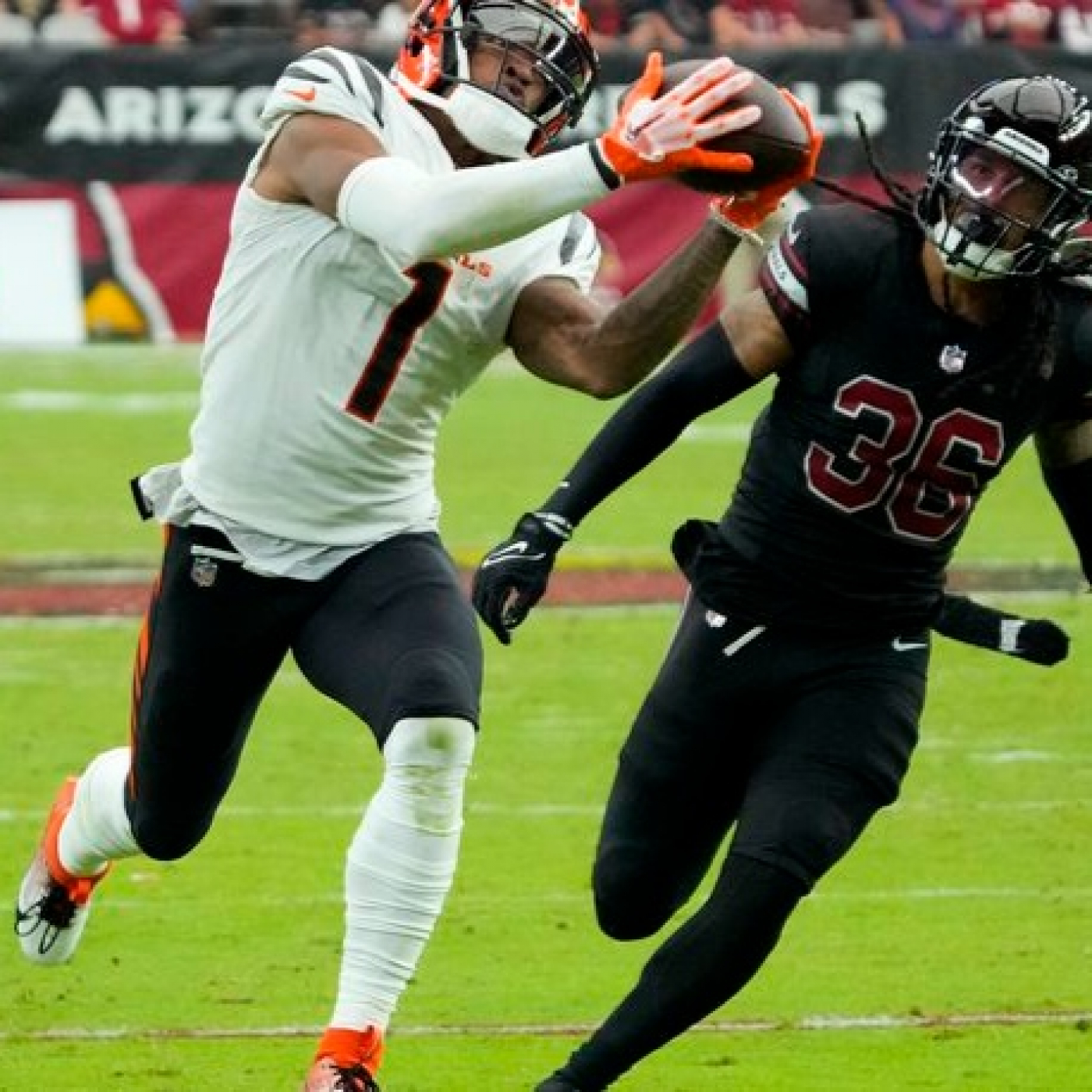 La Jungla Hispana - Bengals.es