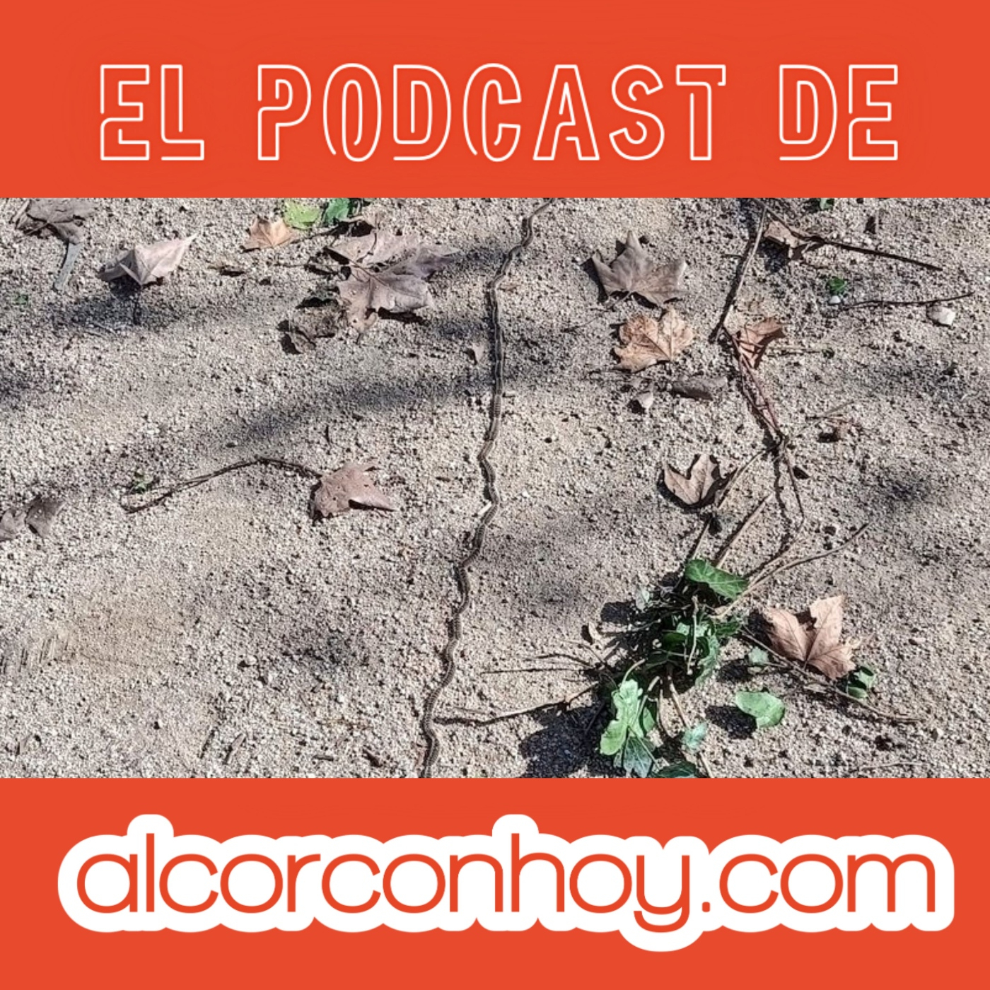 alcorconhoy.com - Tus noticias de Alcorcón