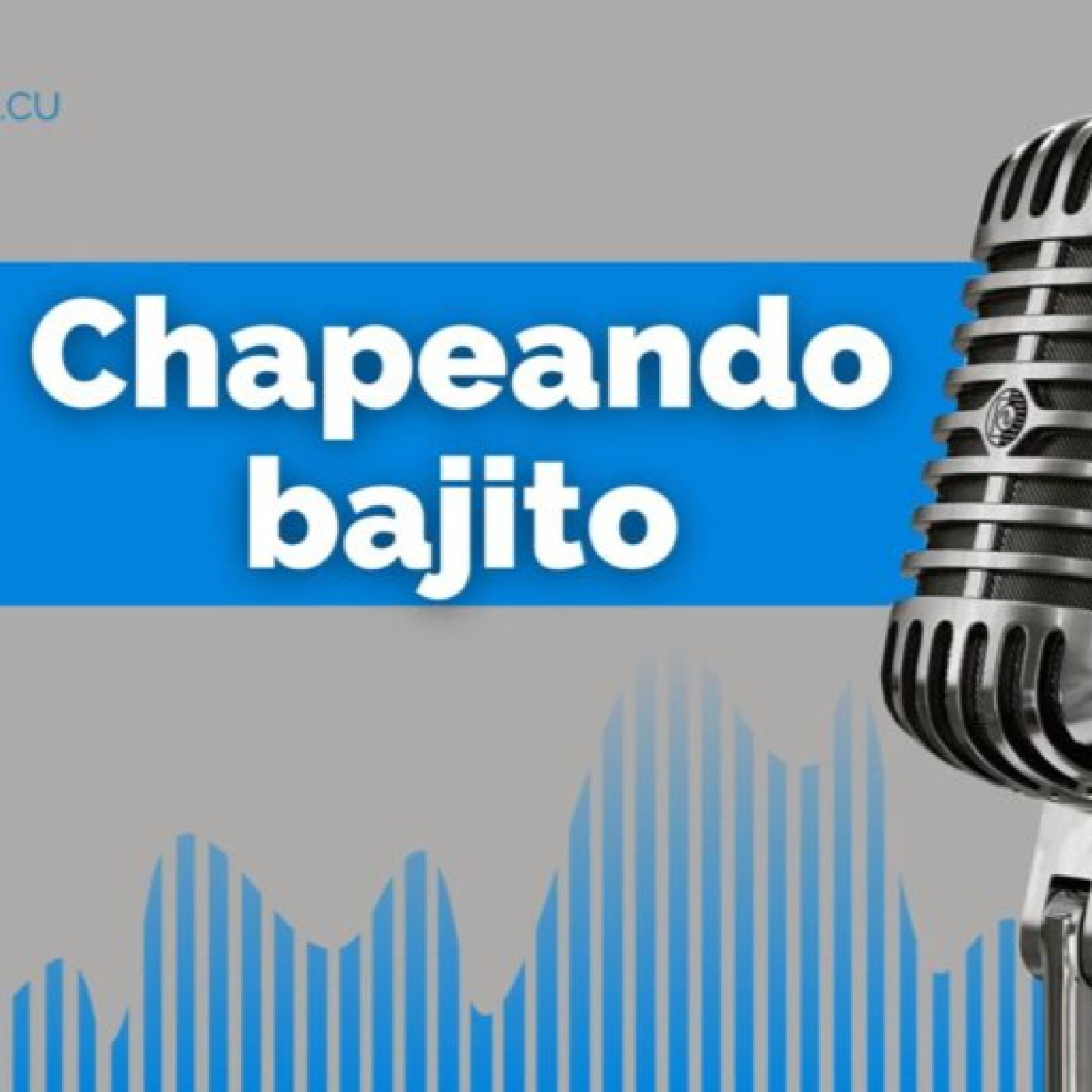 Chapeando: De Fidel y Venezuela