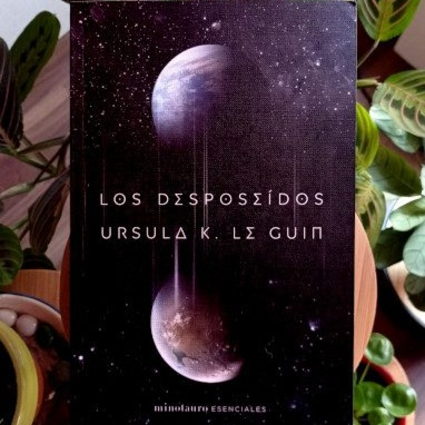 Alegría Literaria