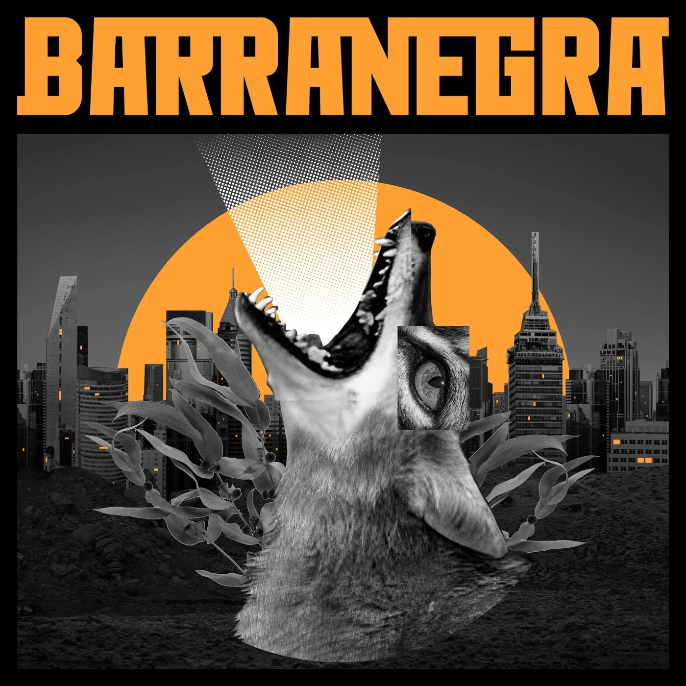 Entrevista a Barranegra Punk Rock de la CDMX. episode artwork
