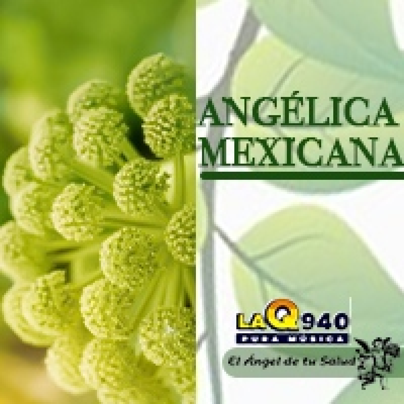 El Ángel de tu Salud - Angélica Mexicana** episode artwork