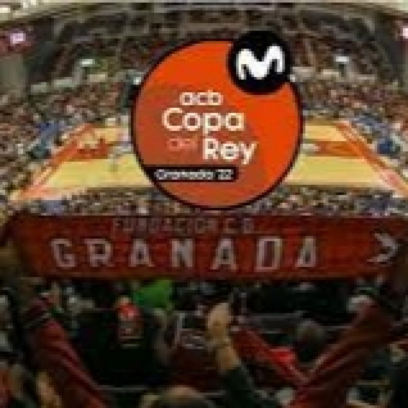 Pasión Por El Baloncesto