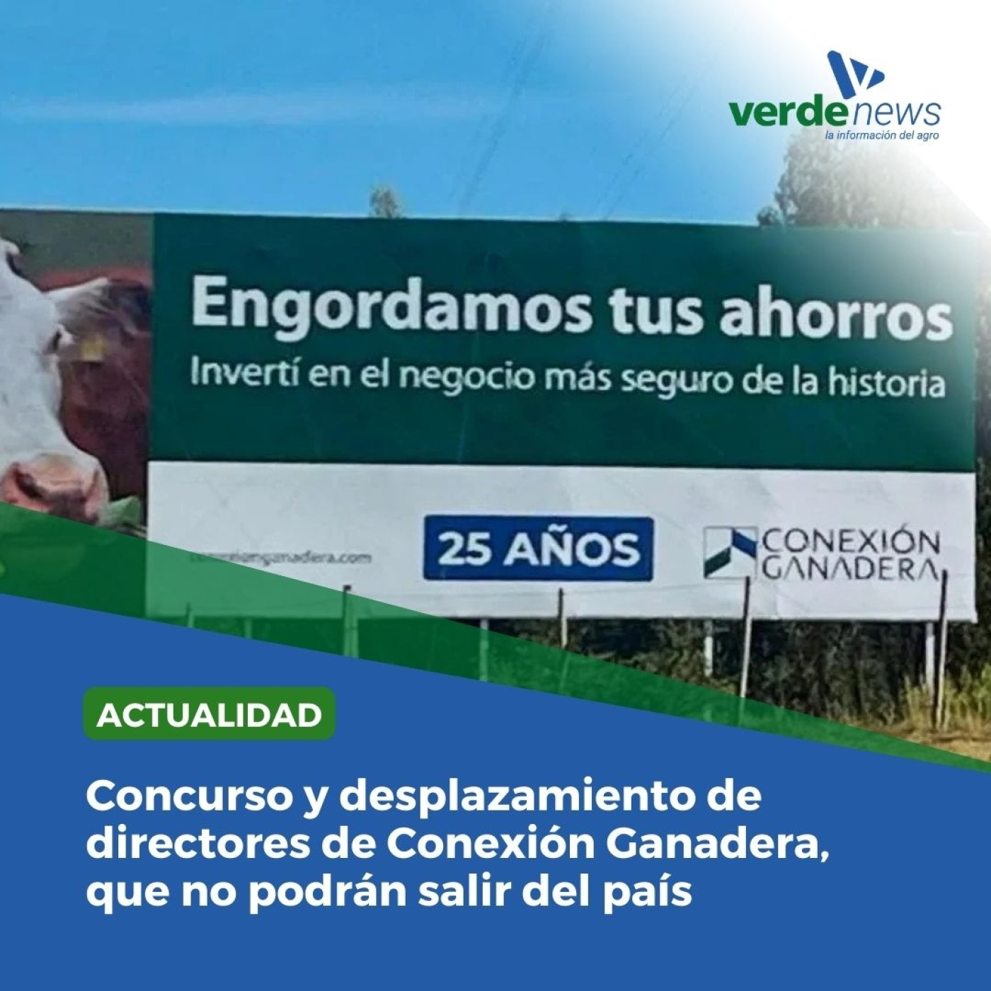 verdemedia