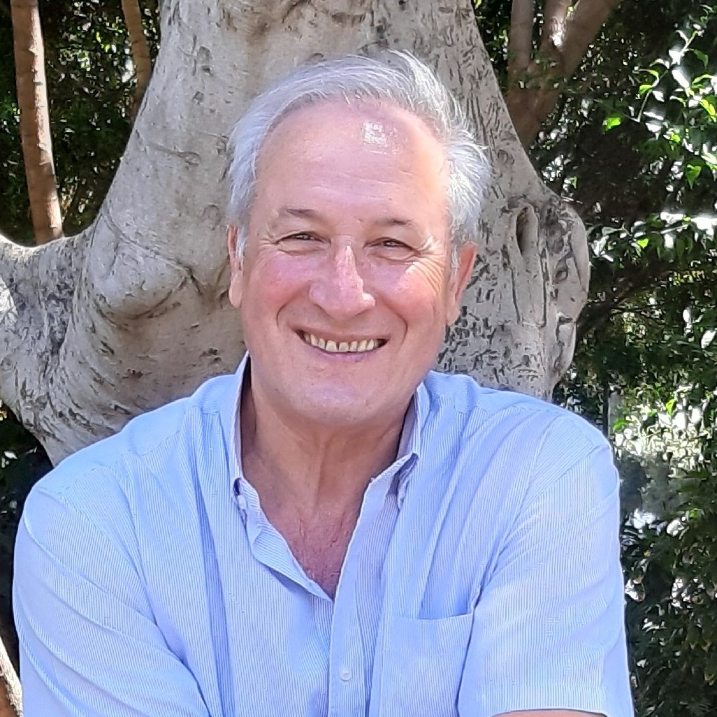 BAJO AQUELLA HIGUERA