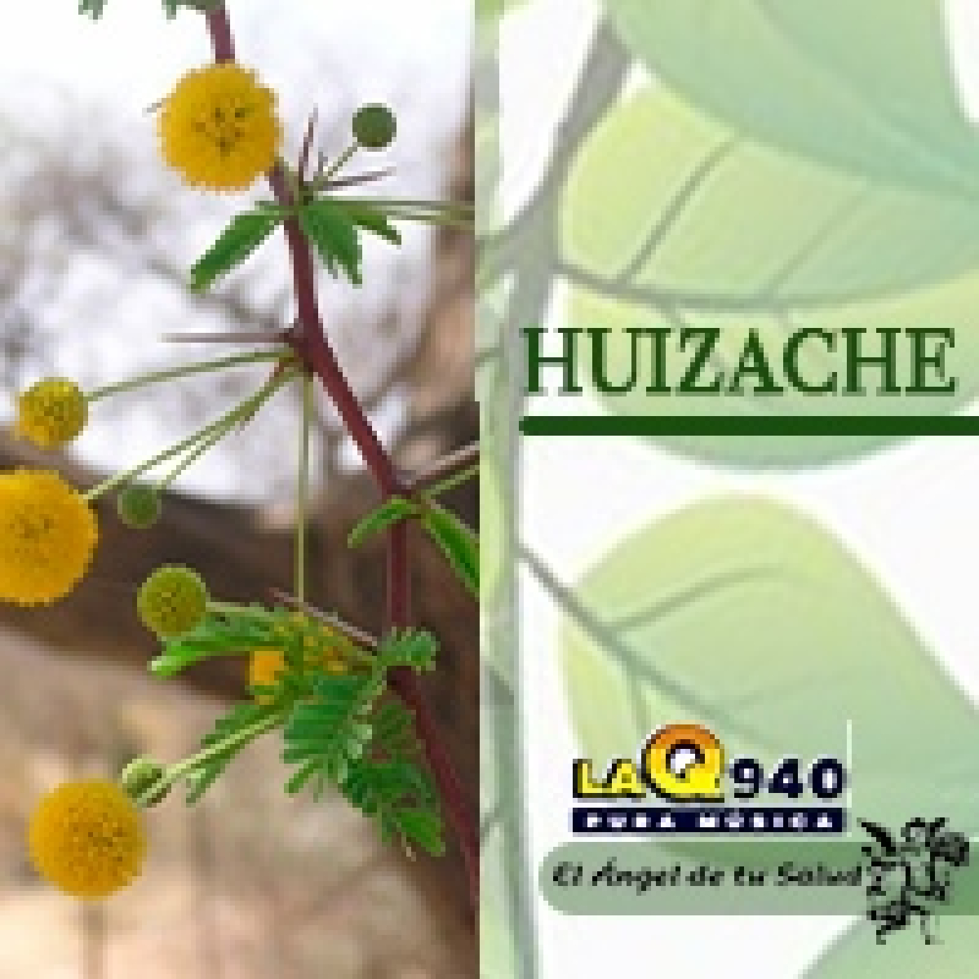 El Ángel de tu Salud - Huizache** episode artwork