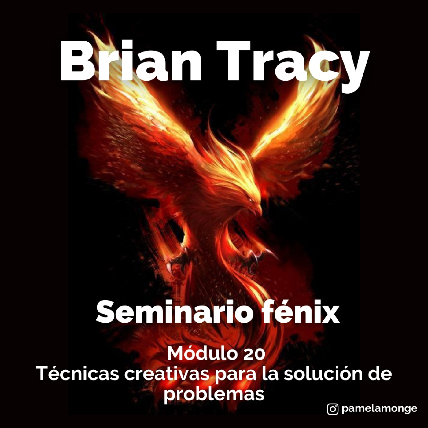 Módulo 20 - Técnicas creativas para la solución de problemas - Episodio exclusivo para mecenas