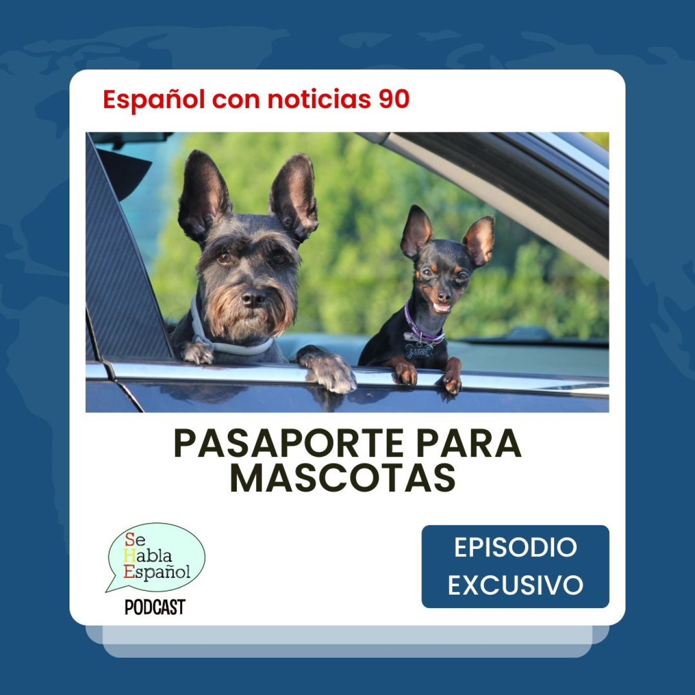 Español con noticias 90: Pasaporte para mascotas - Episodio exclusivo para mecenas episode artwork