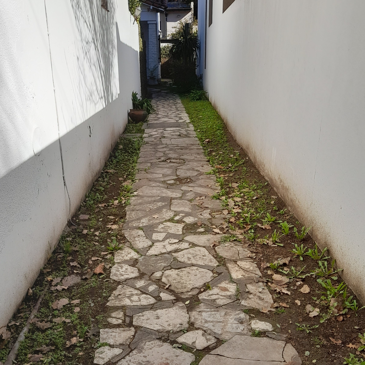El Pasillo