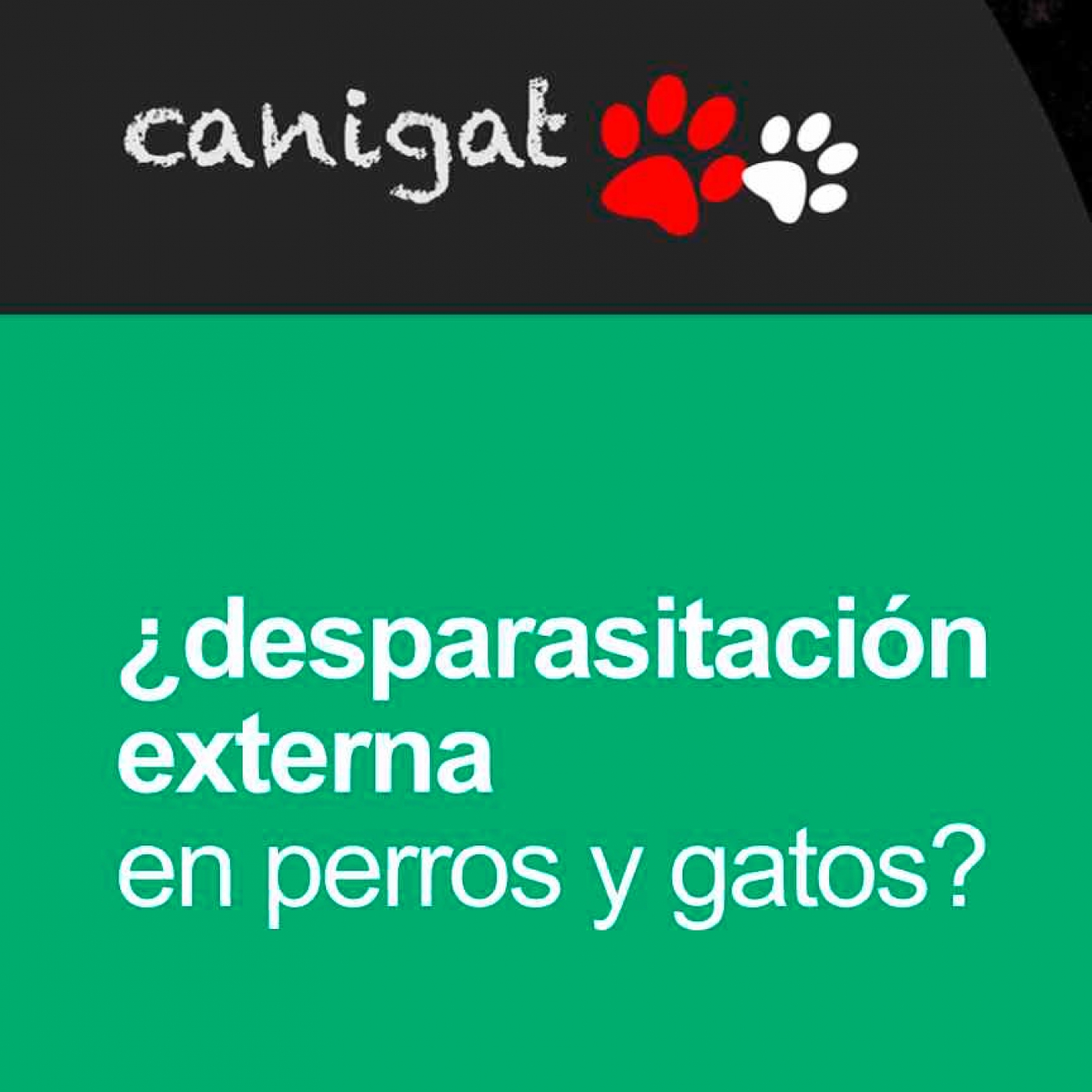 Consejos veterinarios de perros y gatos by canigat