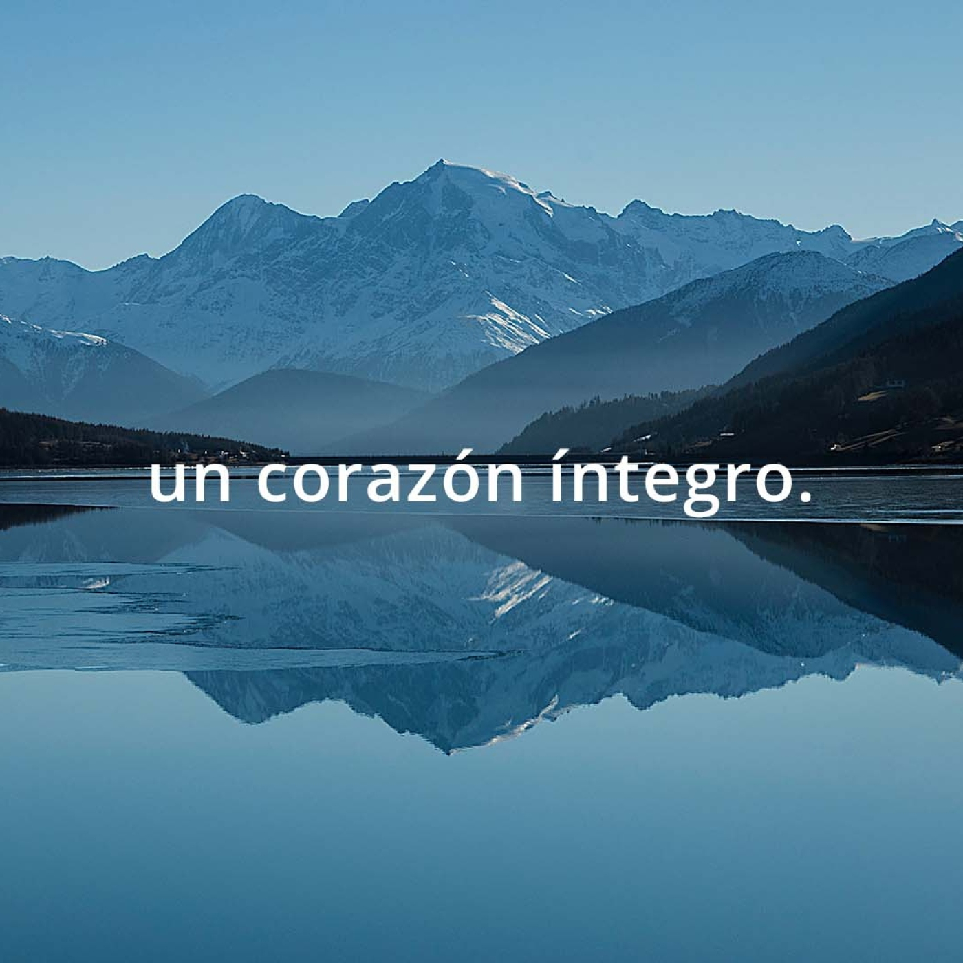 Reunión General