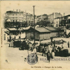 embed image