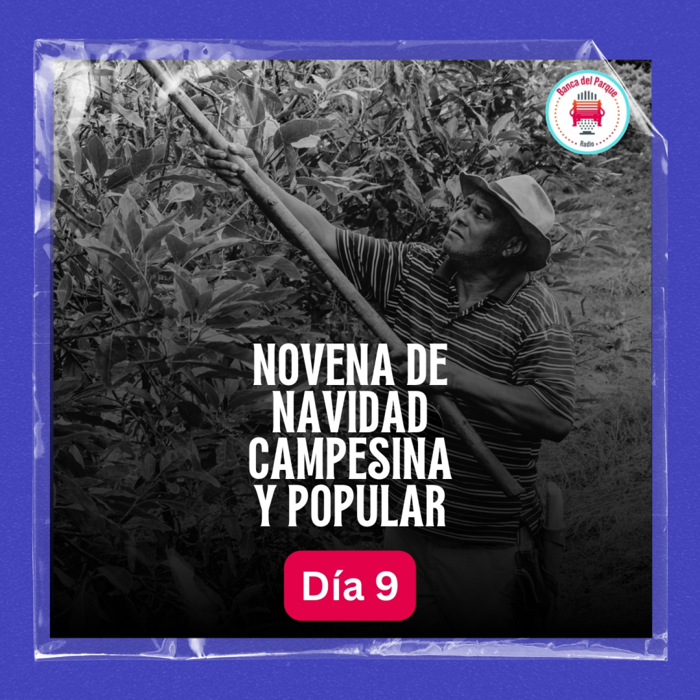 Podcast Banca del Parque Radio