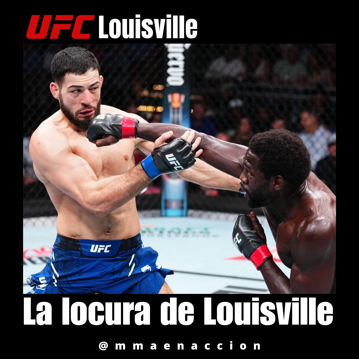 MMA en acción