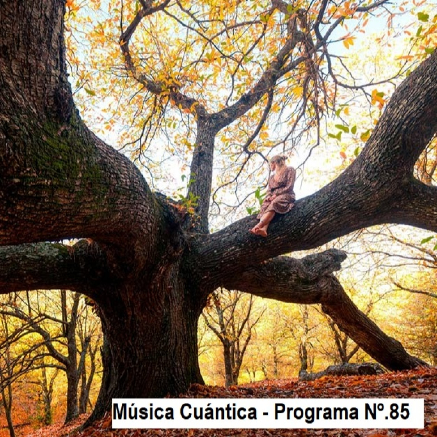Música Cuántica