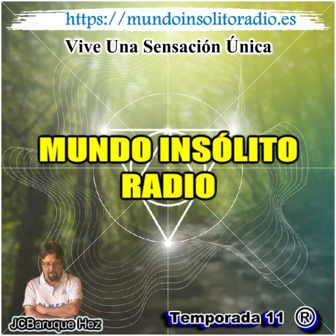 801/11. Causalidad o casualidad. Sincronicidad. Libre albedrío.