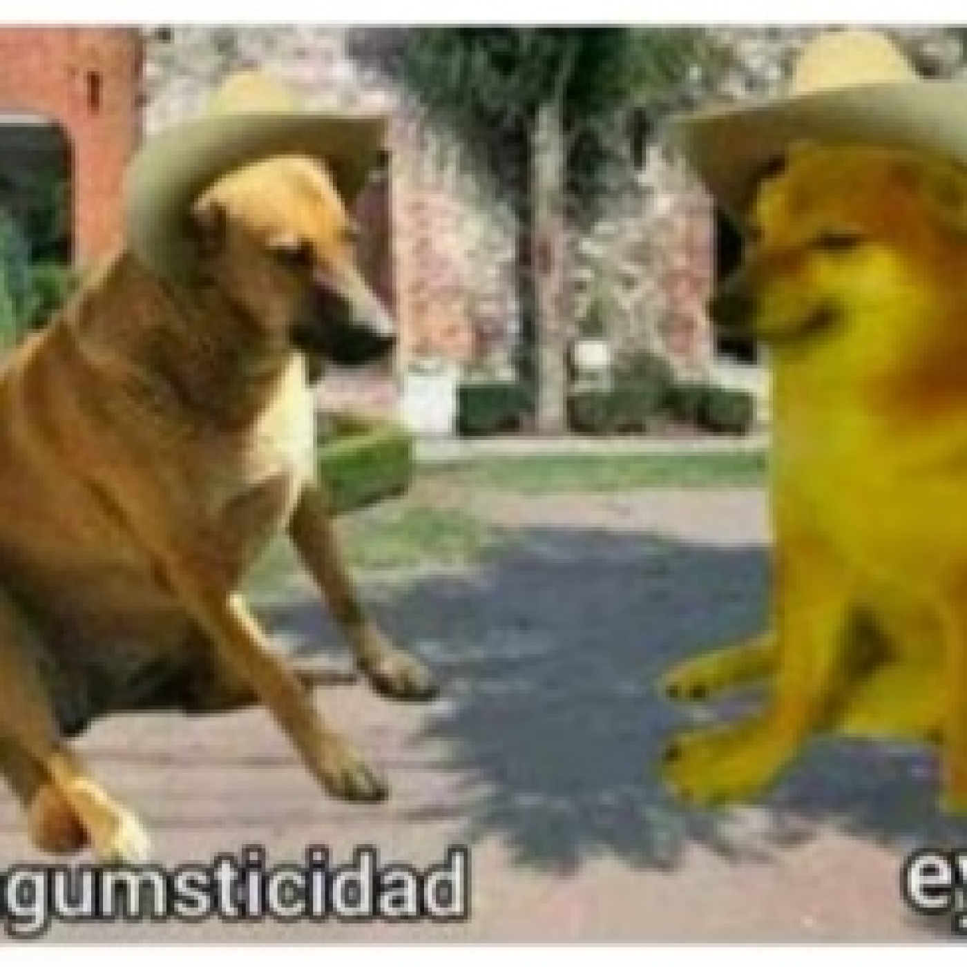 El amarganeitor