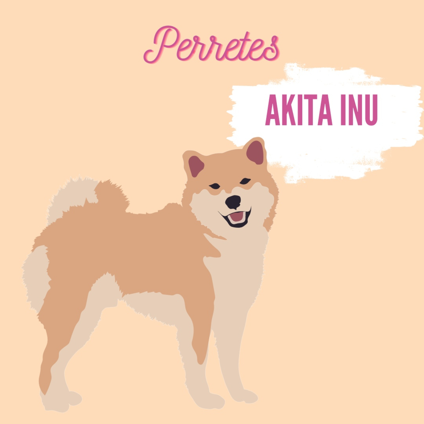 Perretes | Las razas de perros