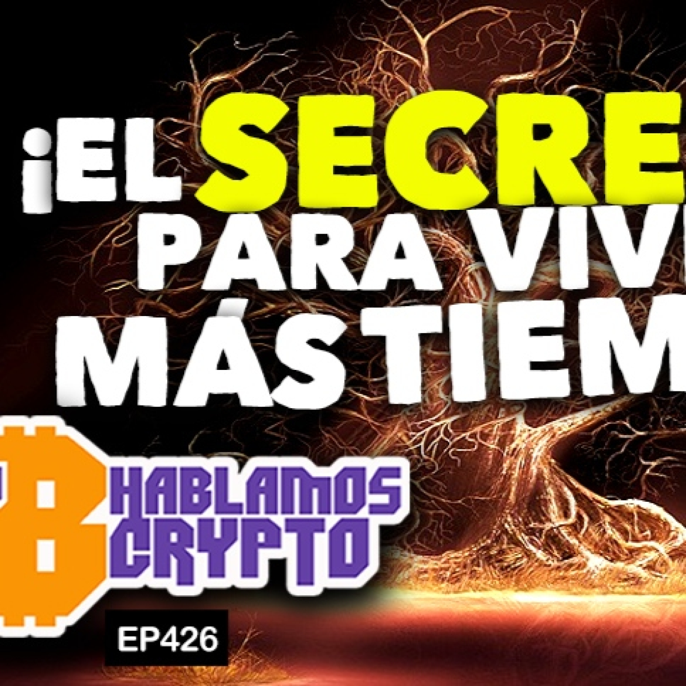 Rodrigo Arnedo Noticias BTC
