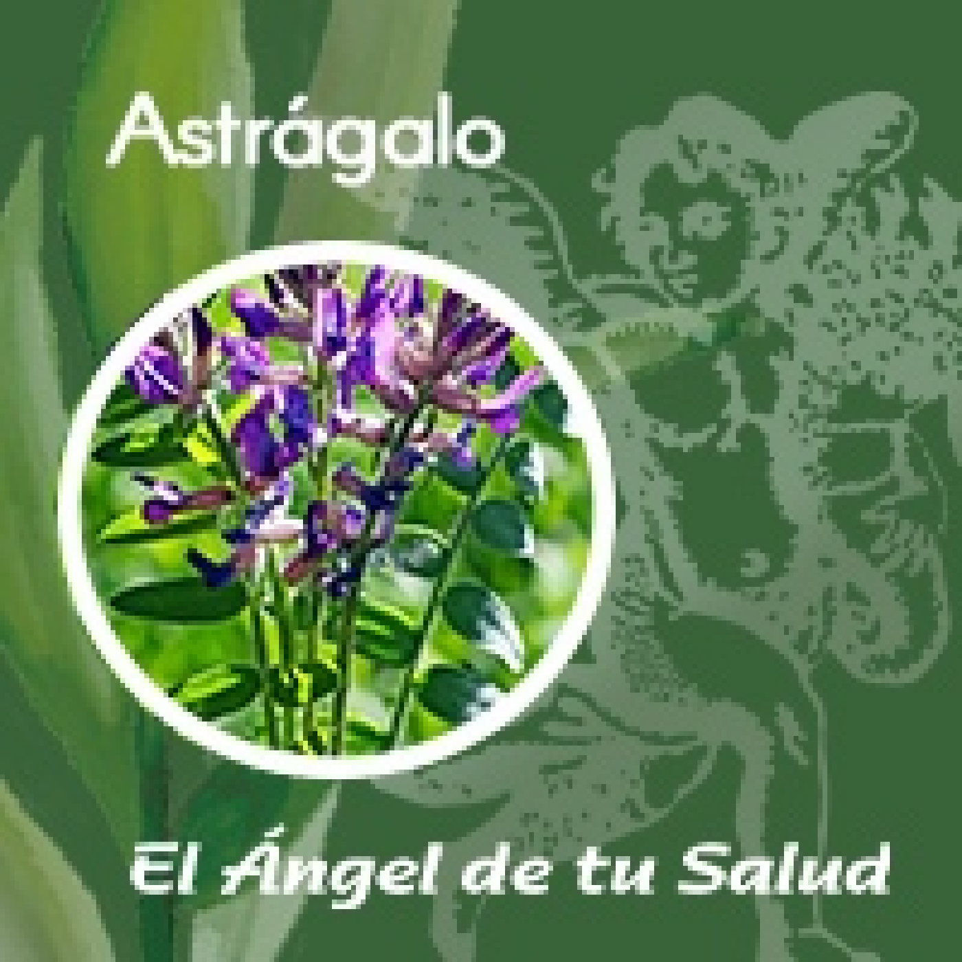 El Ángel de tu Salud - Astrágalo** episode artwork