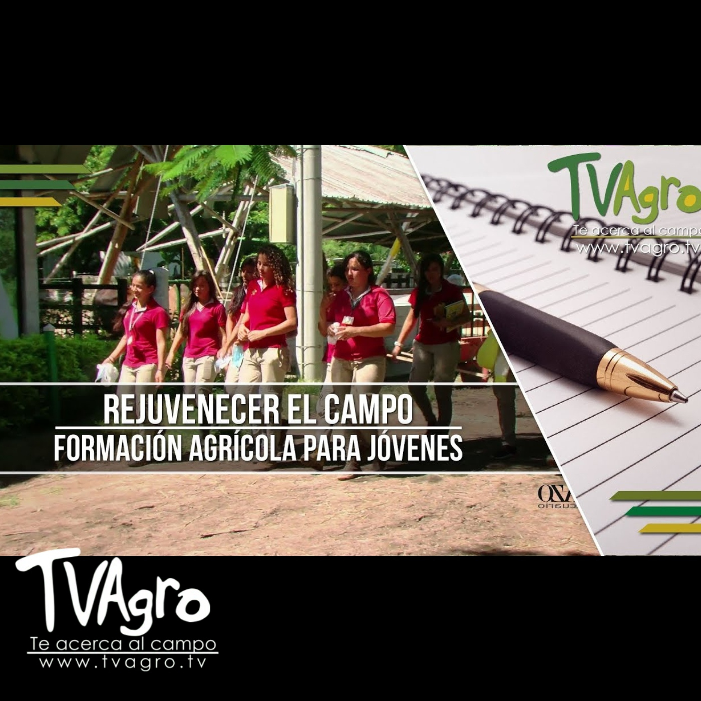 TV AGRO