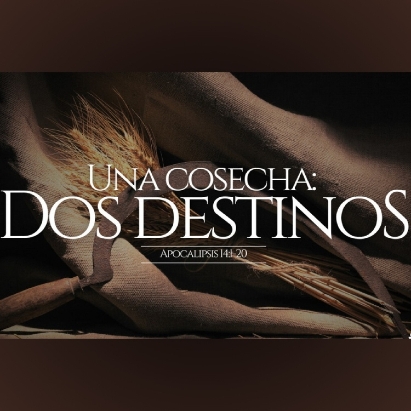 Apocalipsis, consuelo en la victoria de Cristo