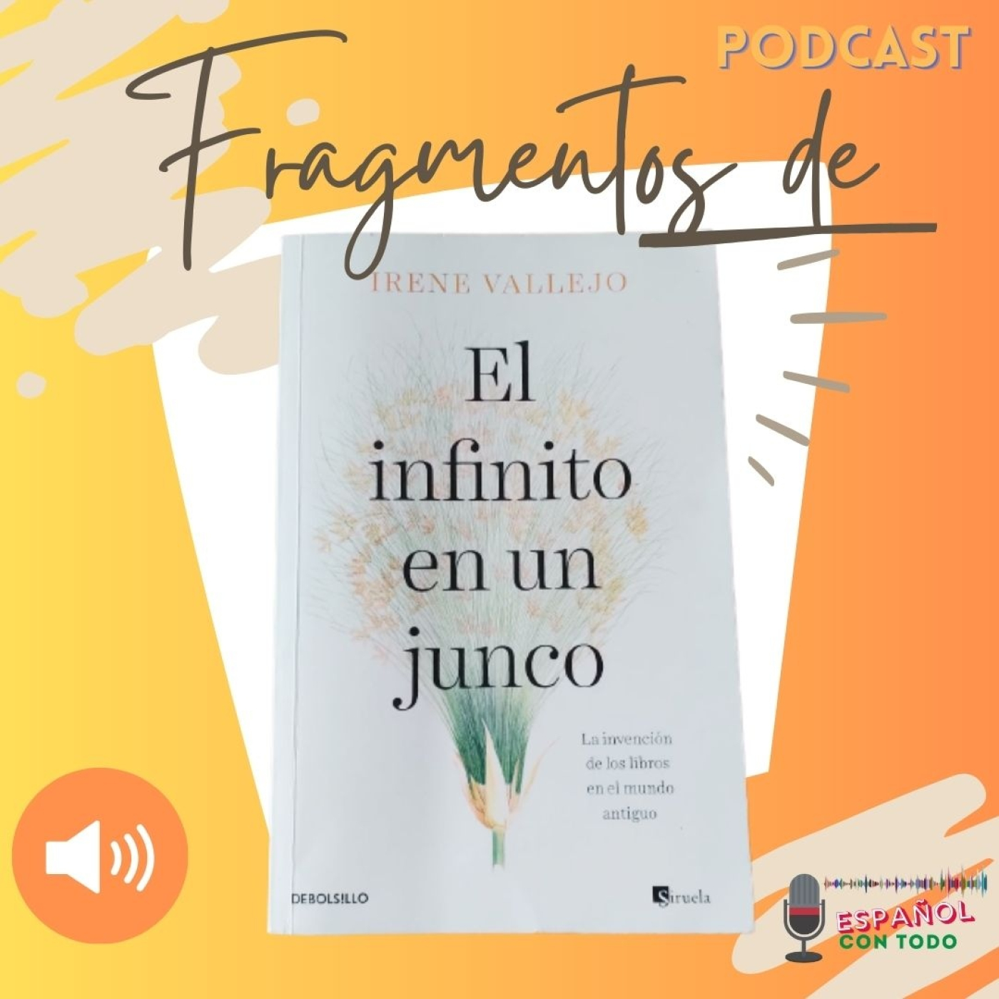 049 - El infinito en un junco - Fragmentos