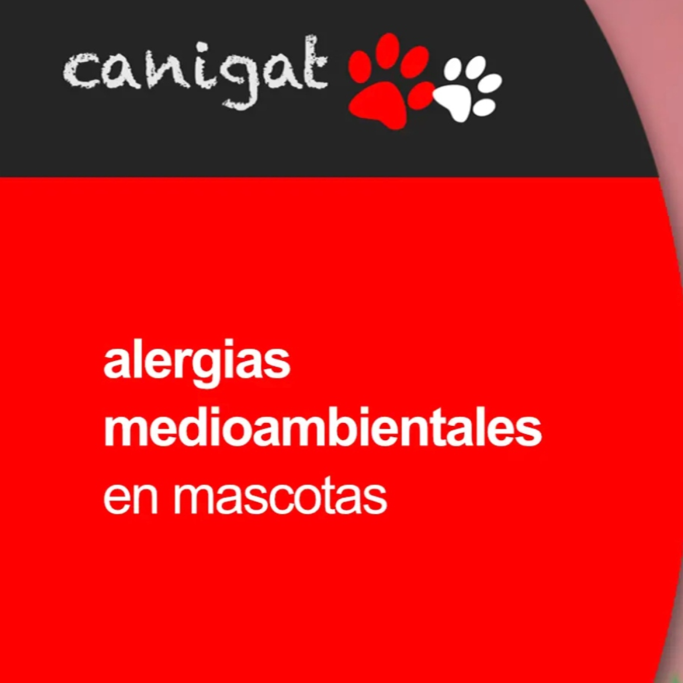 Consejos veterinarios de perros y gatos by canigat