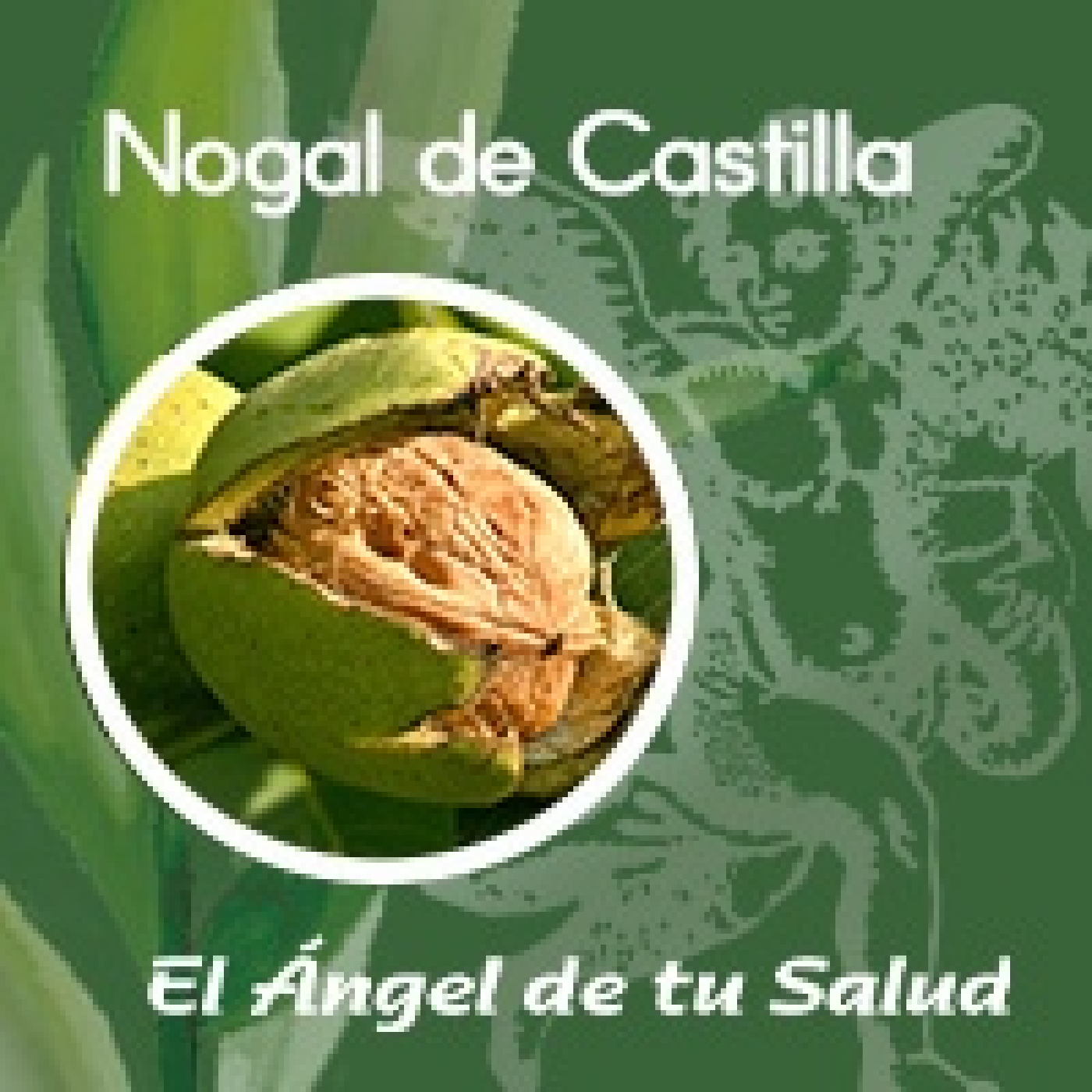 El Ángel de tu Salud - Nogal de Castilla ** episode artwork