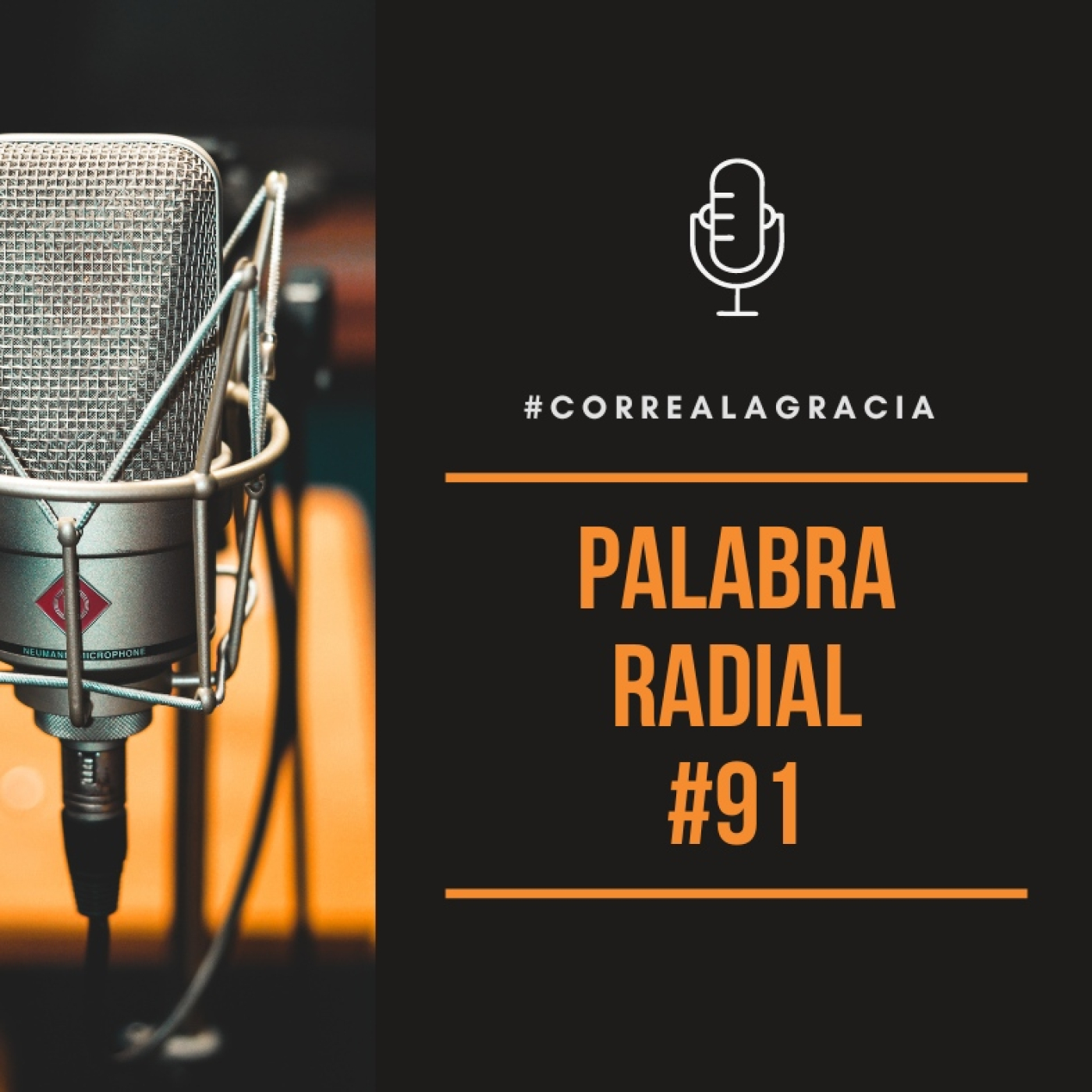 Ep. 91 Podcast Palabra Radial episode artwork