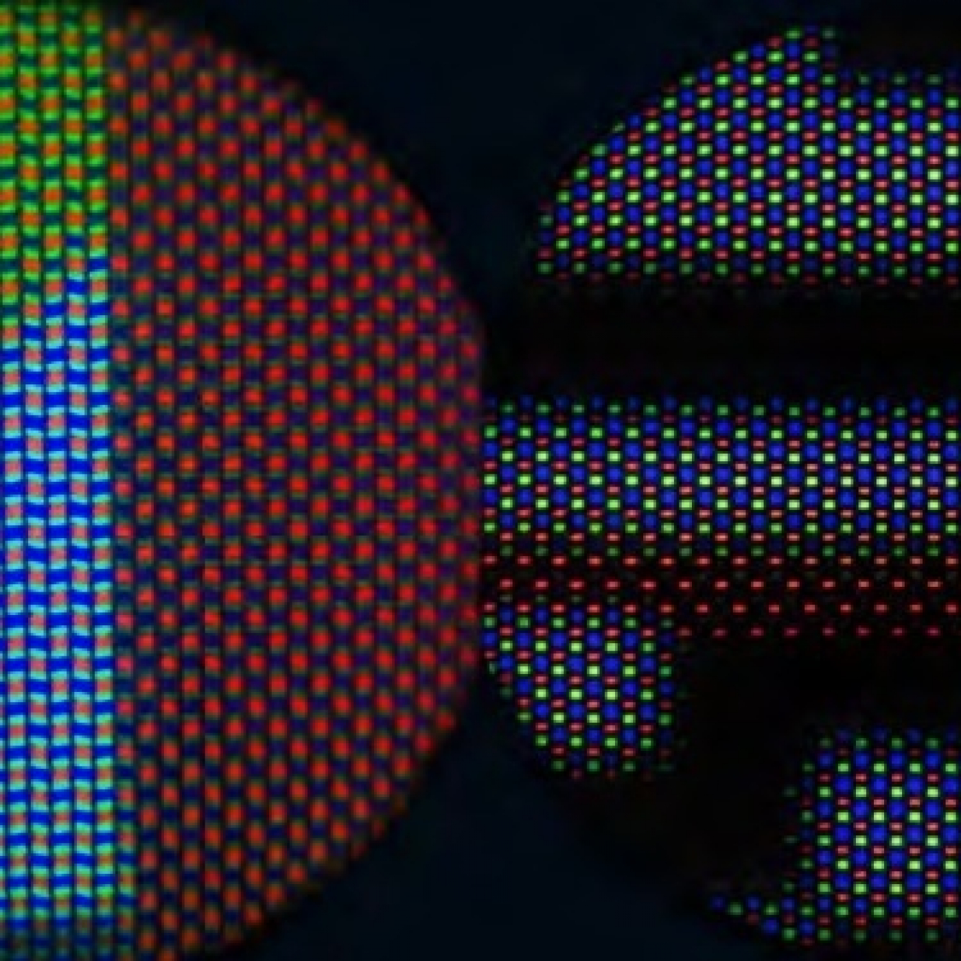 Fotciencia19