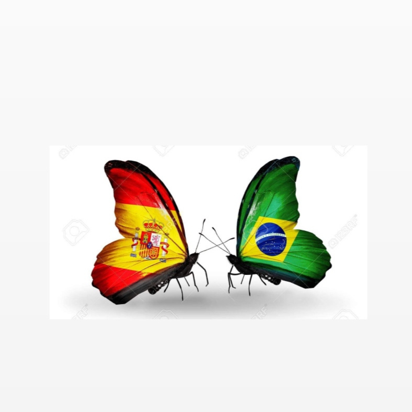 Movida Brasileña Podcast