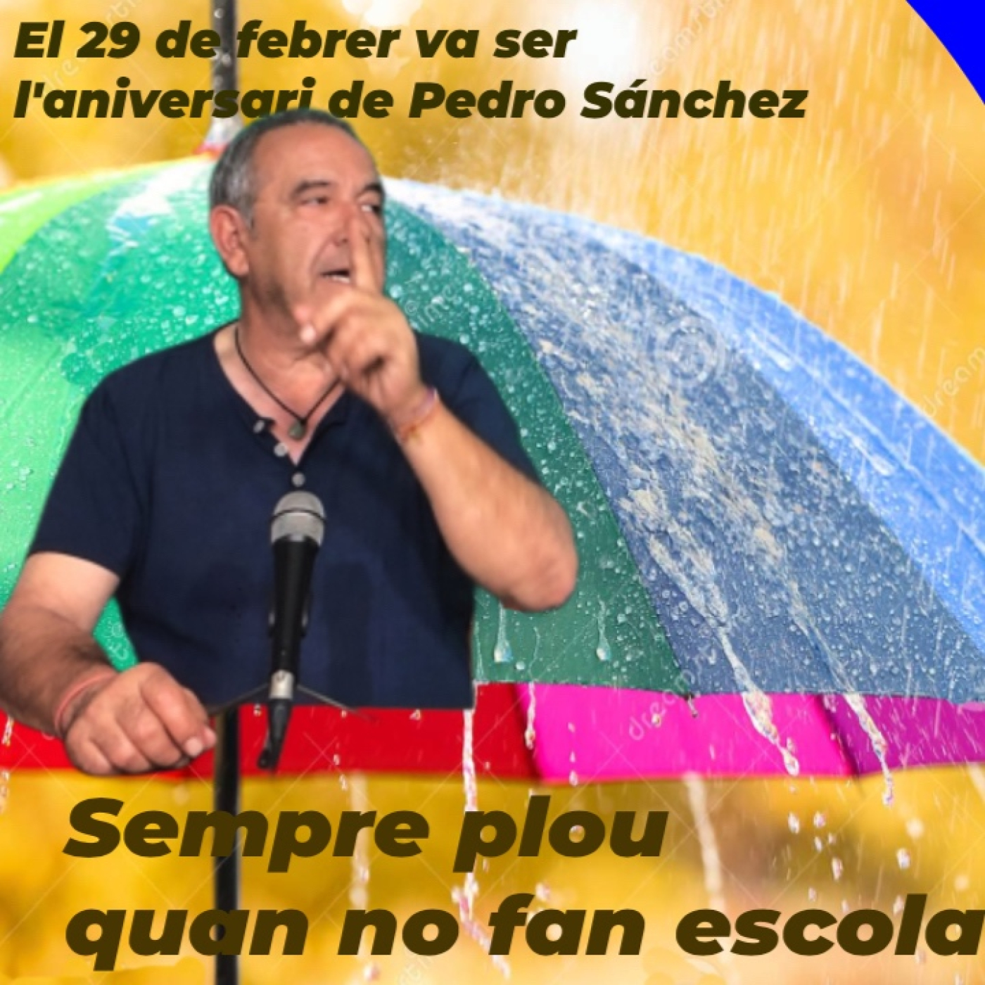 Sempre Plou quan no fan Escola, episodi 99 - "El 29 de febrer va ser l'aniversari de Pedro Sánchez" episode artwork