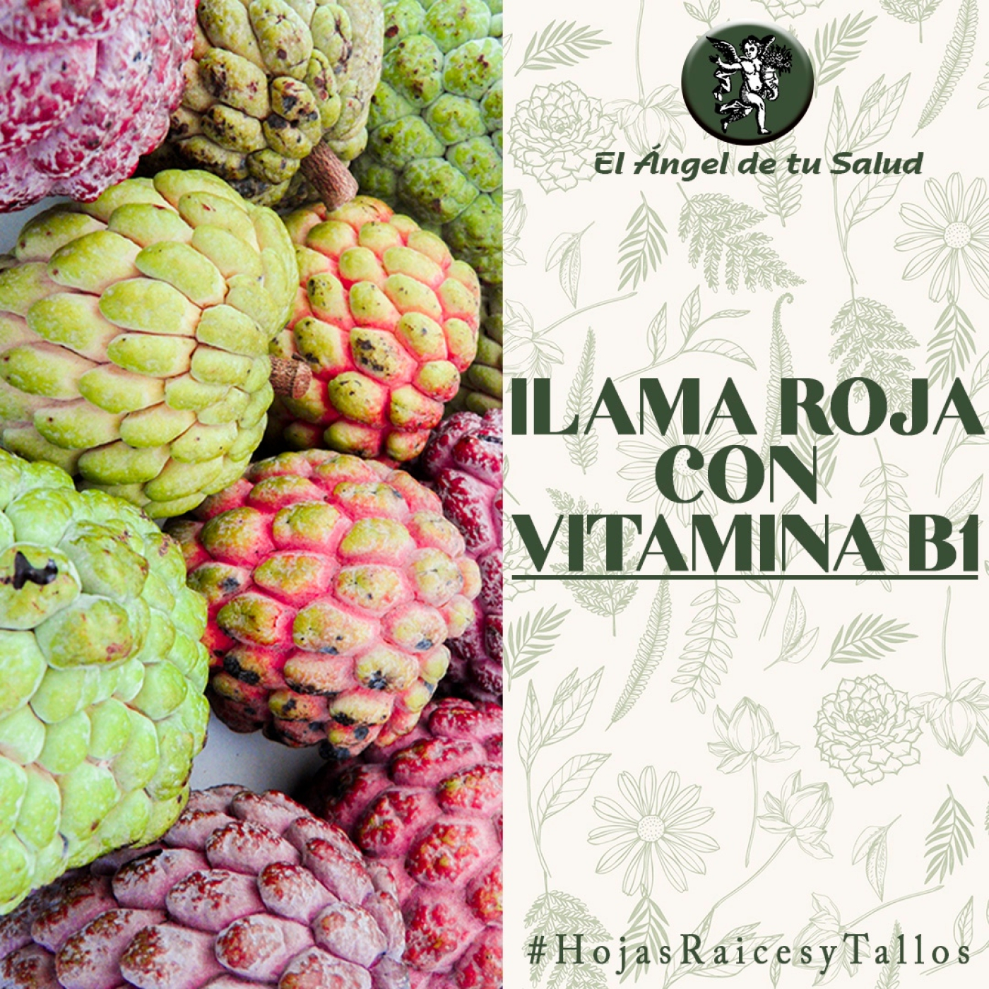 El Ángel de tu Salud - Ilama Roja con Vitamina B1** episode artwork