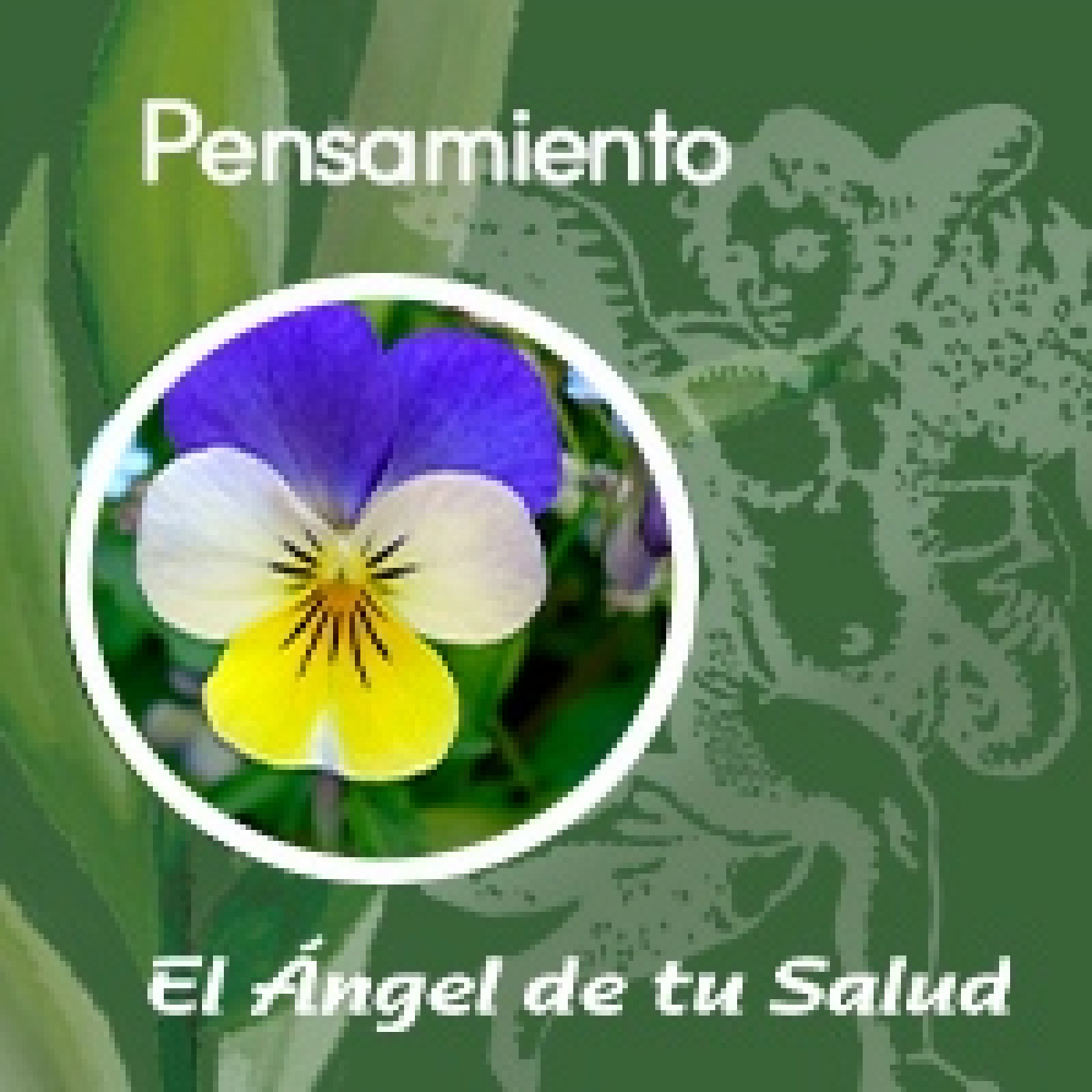 El Ángel de tu Salud - Pensamiento** episode artwork