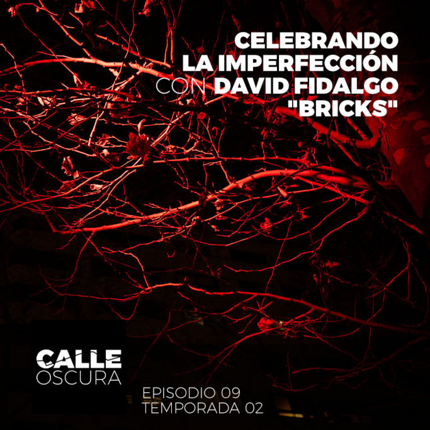 Calle Oscura 21: Celebrando la Imperfección con David Fidalgo 