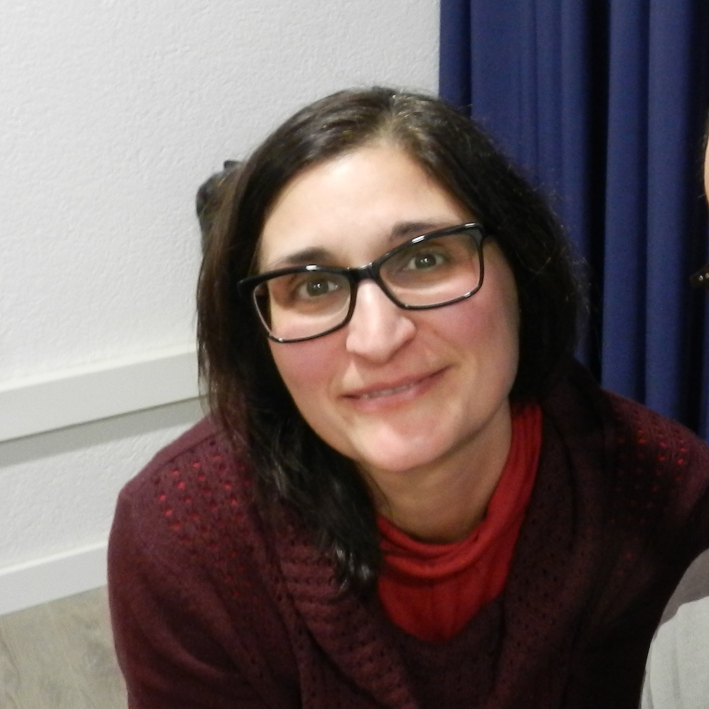 Amics i Residents Arbúcies