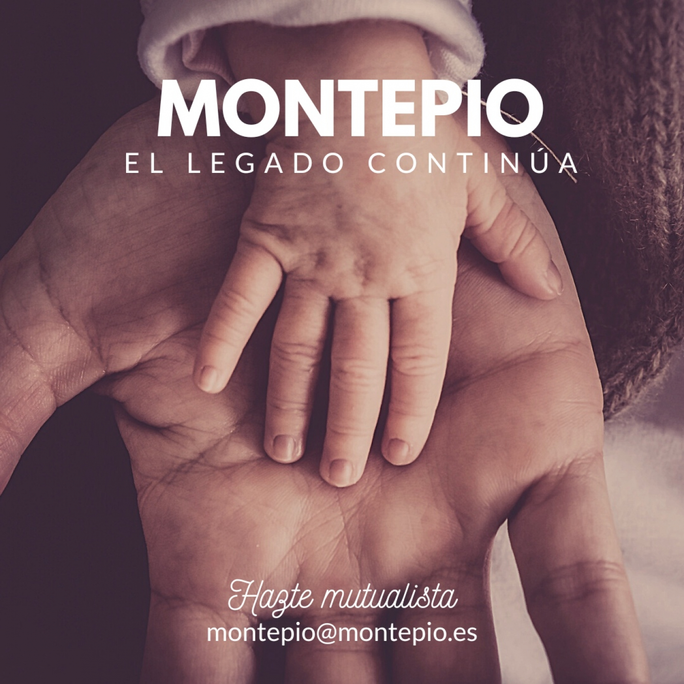 Grupo Montepío