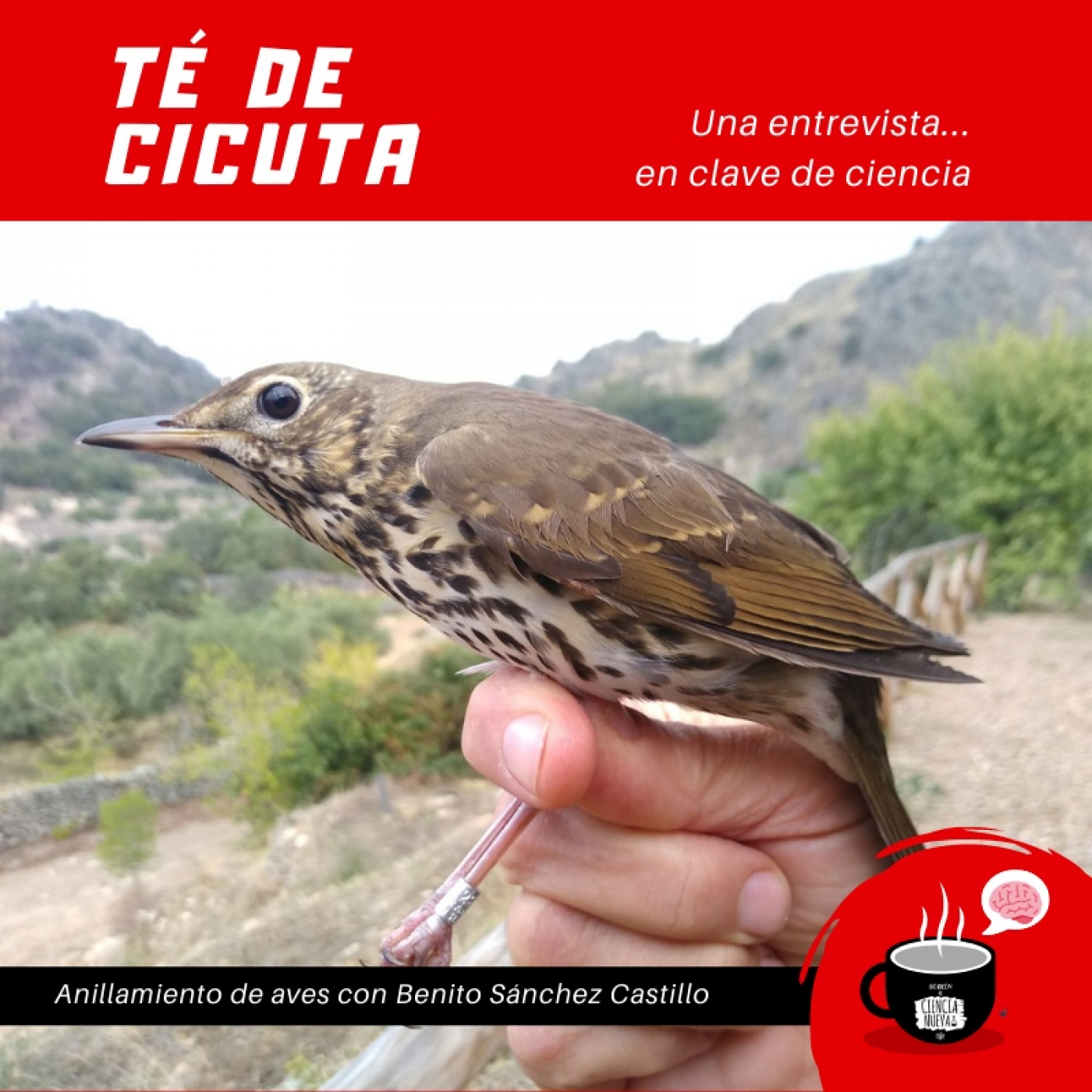 Borrón y Ciencia Nueva: EPISODIOS & SECCIONES