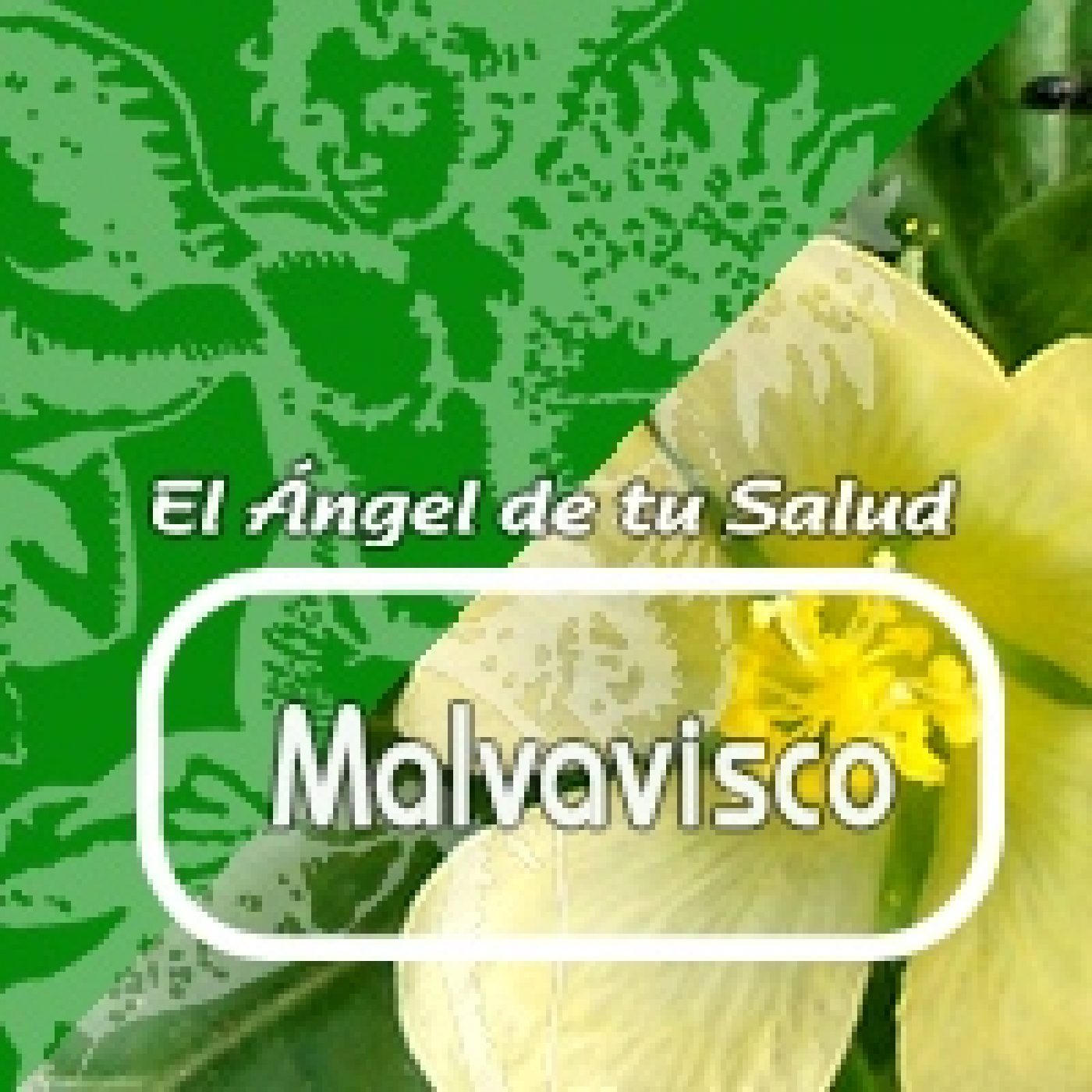 El Angel de tu Salud - MALVAVISCO**** episode artwork