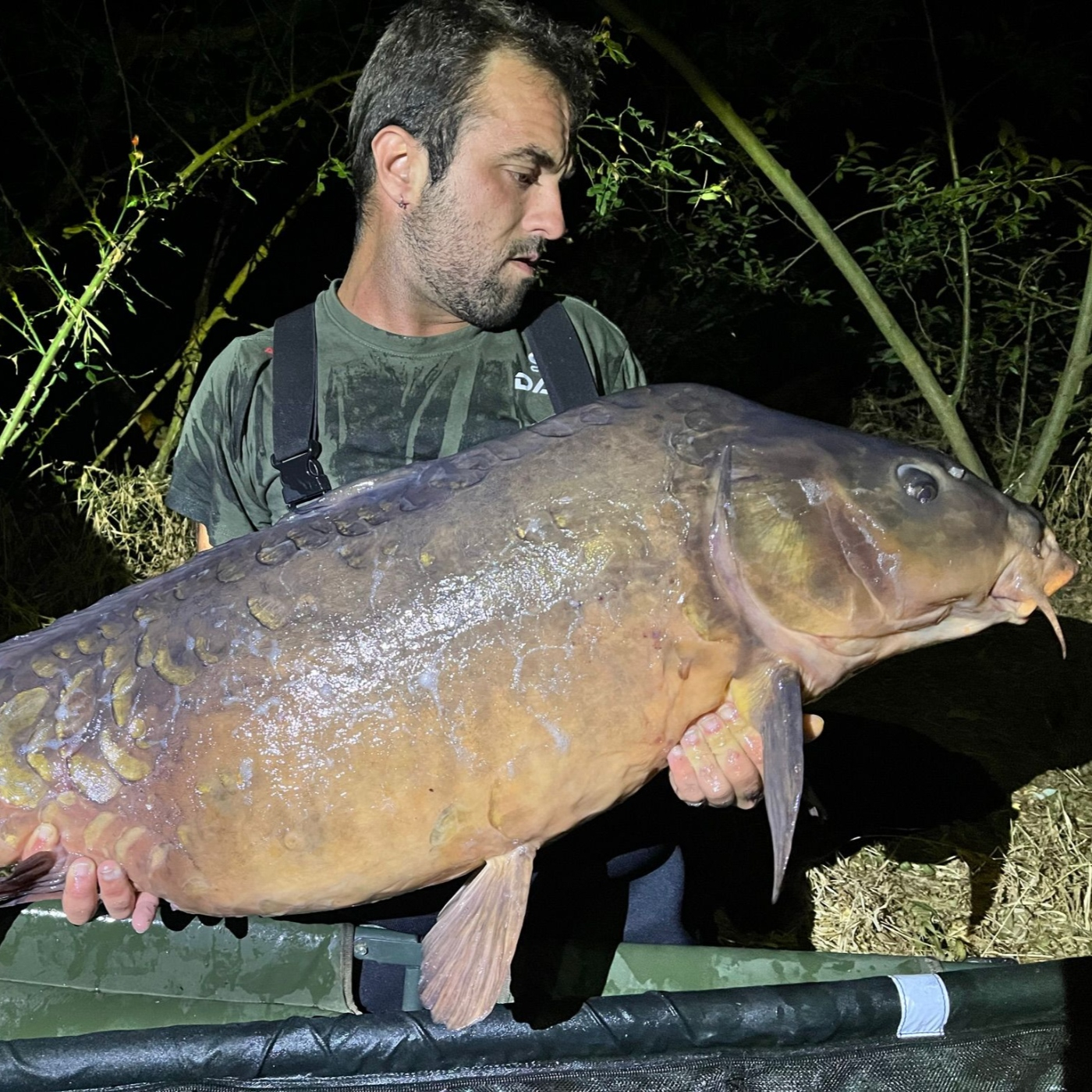 Rio de la Vida pesca