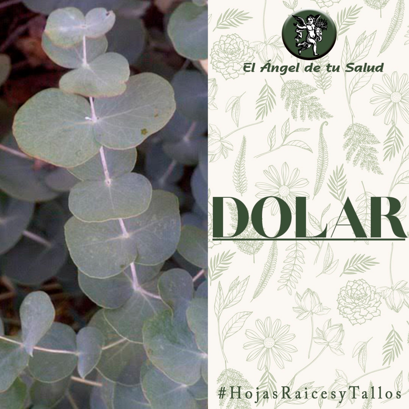 El Ángel de tu Salud - Dolar** episode artwork