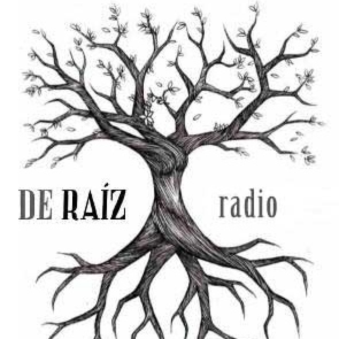De Raíz Radio