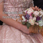 embed image
