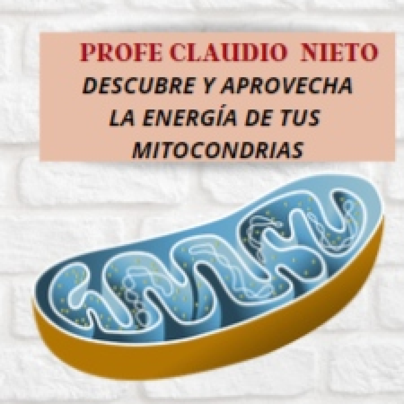 PROFE CLAUDIO NIETO