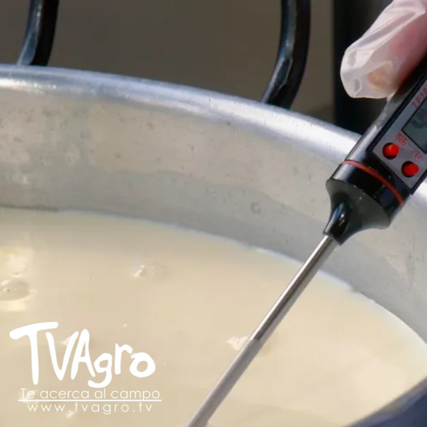 TV AGRO