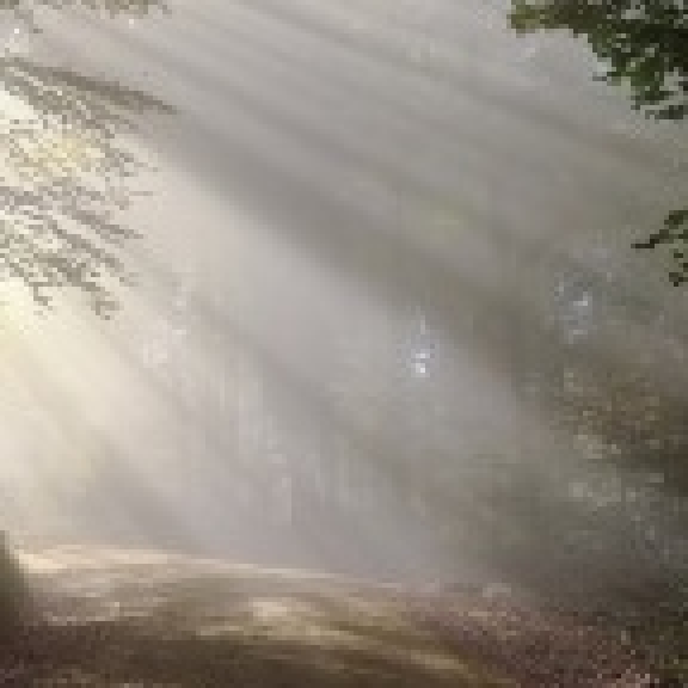 Entre las dudas camino