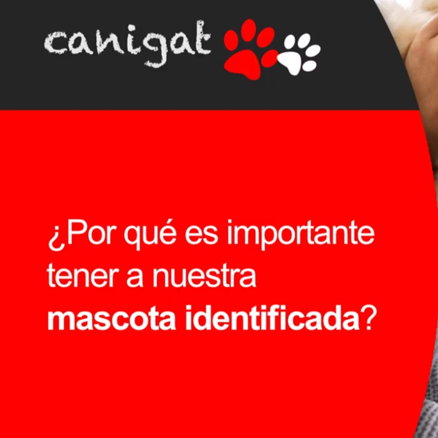Consejos veterinarios de perros y gatos by canigat